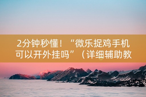 2分钟秒懂！“微乐捉鸡手机可以开外挂吗”（详细辅助教程）-哔哩哔哩