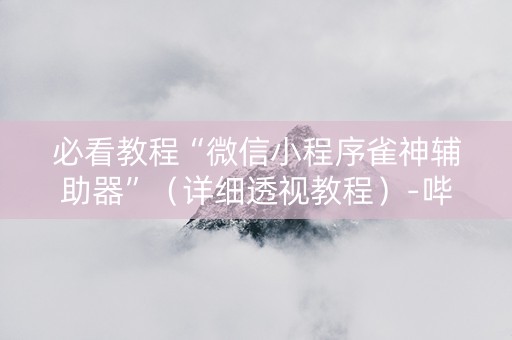 必看教程“微信小程序雀神辅助器”（详细透视教程）-哔哩哔哩