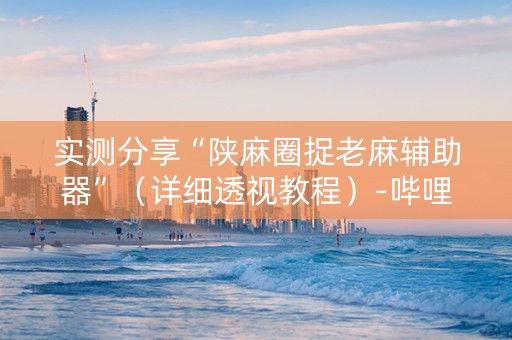 实测分享“陕麻圈捉老麻辅助器”（详细透视教程）-哔哩哔哩