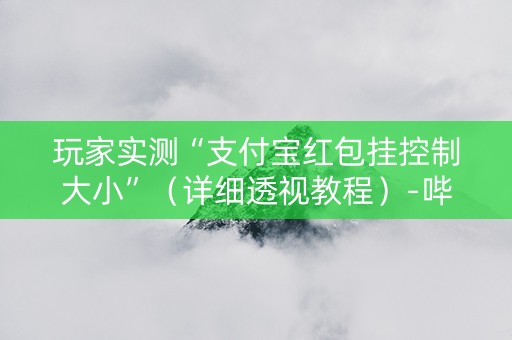 玩家实测“支付宝红包挂控制大小”（详细透视教程）-哔哩哔哩