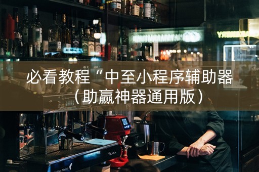 必看教程“中至小程序辅助器（助赢神器通用版）