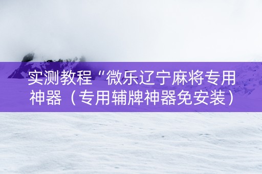 实测教程“微乐辽宁麻将专用神器（专用辅牌神器免安装）