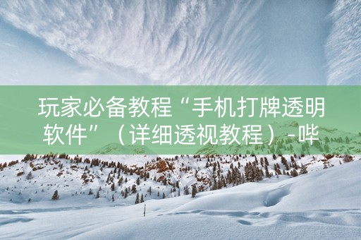 玩家必备教程“手机打牌透明软件”（详细透视教程）-哔哩哔哩