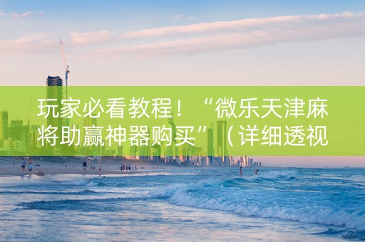 玩家必看教程！“微乐天津麻将助赢神器购买”（详细透视教程）-哔哩哔哩