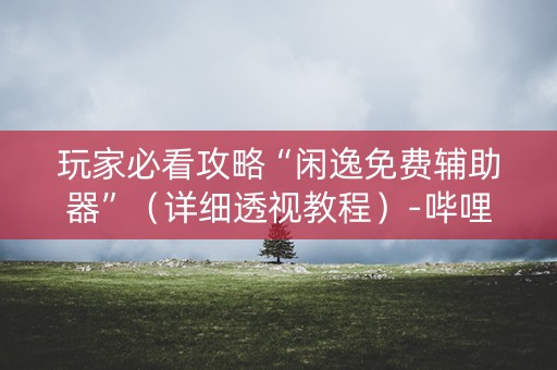 玩家必看攻略“闲逸免费辅助器”（详细透视教程）-哔哩哔哩