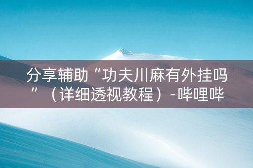 分享辅助“功夫川麻有外挂吗”（详细透视教程）-哔哩哔哩