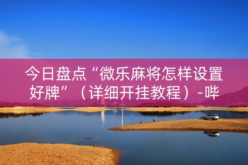 今日盘点“微乐麻将怎样设置好牌”（详细开挂教程）-哔哩哔哩