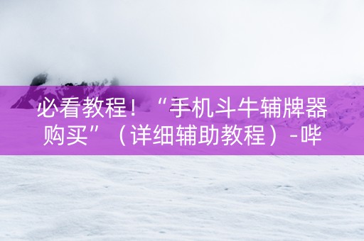 必看教程！“手机斗牛辅牌器购买”（详细辅助教程）-哔哩哔哩