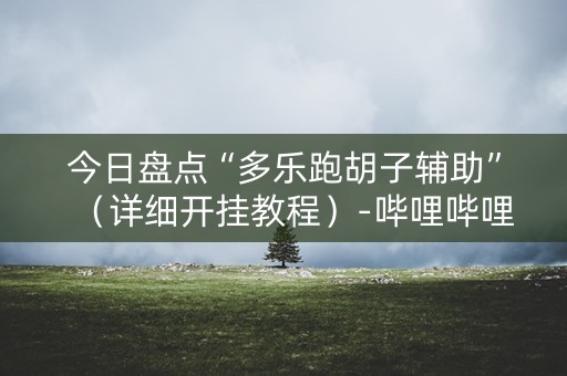 今日盘点“多乐跑胡子辅助”（详细开挂教程）-哔哩哔哩
