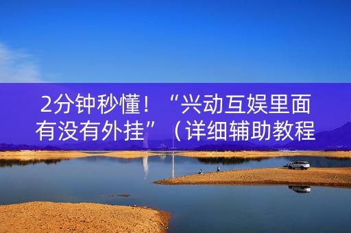 2分钟秒懂！“兴动互娱里面有没有外挂”（详细辅助教程）-哔哩哔哩
