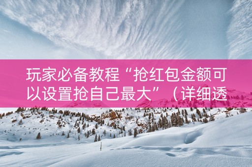 玩家必备教程“抢红包金额可以设置抢自己最大”（详细透视教程）-哔哩哔哩