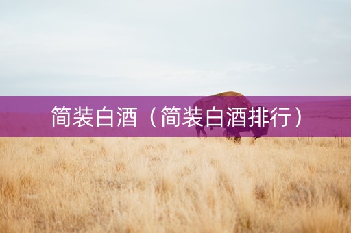 简装白酒（简装白酒排行）