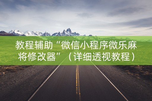 教程辅助“微信小程序微乐麻将修改器”（详细透视教程）-哔哩哔哩