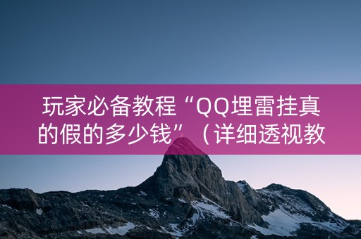 玩家必备教程“QQ埋雷挂真的假的多少钱”（详细透视教程）-哔哩哔哩