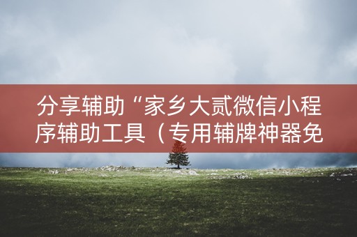 分享辅助“家乡大贰微信小程序辅助工具（专用辅牌神器免安装）