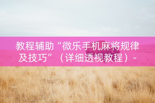 教程辅助“微乐手机麻将规律及技巧”（详细透视教程）-哔哩哔哩