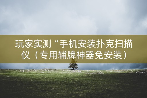 玩家实测“手机安装扑克扫描仪（专用辅牌神器免安装）