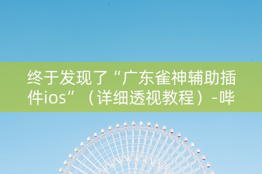终于发现了“广东雀神辅助插件ios”（详细透视教程）-哔哩哔哩