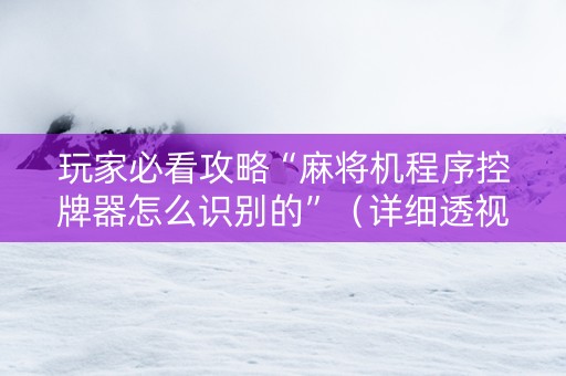 玩家必看攻略“麻将机程序控牌器怎么识别的”（详细透视教程）-哔哩哔哩