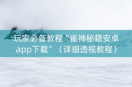 玩家必备教程“雀神秘籍安卓app下载”（详细透视教程）-哔哩哔哩