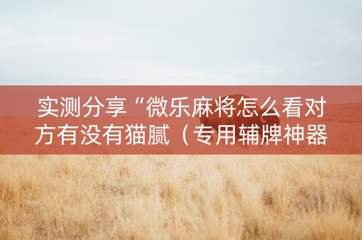 实测分享“微乐麻将怎么看对方有没有猫腻（专用辅牌神器免安装）