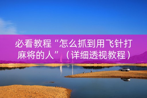 必看教程“怎么抓到用飞针打麻将的人”（详细透视教程）-哔哩哔哩