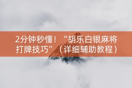 2分钟秒懂！“胡乐白银麻将打牌技巧”（详细辅助教程）-哔哩哔哩