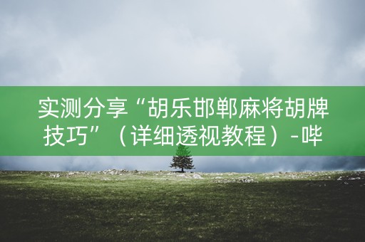 实测分享“胡乐邯郸麻将胡牌技巧”（详细透视教程）-哔哩哔哩