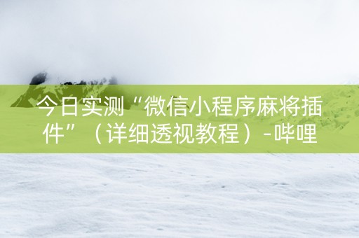 今日实测“微信小程序麻将插件”（详细透视教程）-哔哩哔哩