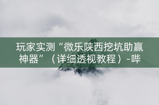 玩家实测“微乐陕西挖坑助赢神器”（详细透视教程）-哔哩哔哩