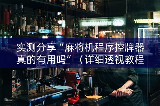 实测分享“麻将机程序控牌器真的有用吗”（详细透视教程）-哔哩哔哩