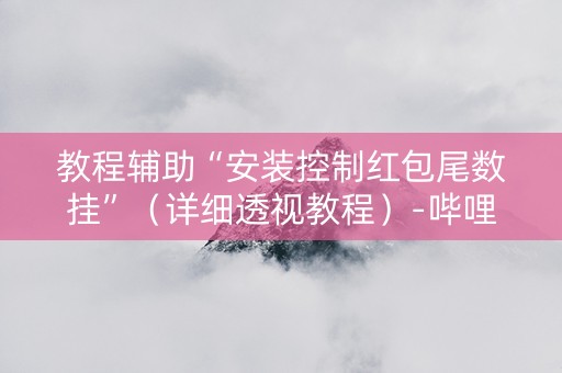 教程辅助“安装控制红包尾数挂”（详细透视教程）-哔哩哔哩