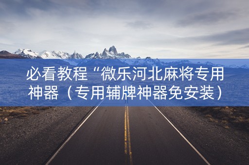 必看教程“微乐河北麻将专用神器（专用辅牌神器免安装）