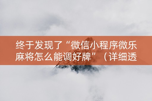 终于发现了“微信小程序微乐麻将怎么能调好牌”（详细透视教程）-哔哩哔哩