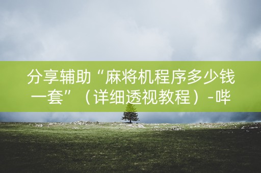 分享辅助“麻将机程序多少钱一套”（详细透视教程）-哔哩哔哩