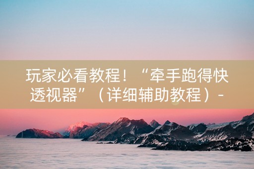 玩家必看教程！“牵手跑得快透视器”（详细辅助教程）-哔哩哔哩