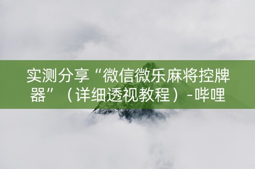 实测分享“微信微乐麻将控牌器”（详细透视教程）-哔哩哔哩