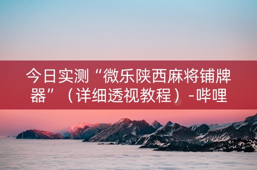 今日实测“微乐陕西麻将铺牌器”（详细透视教程）-哔哩哔哩