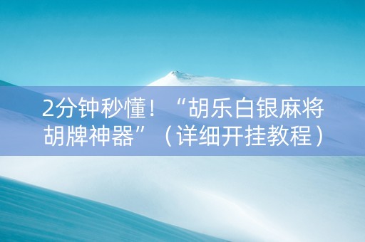 2分钟秒懂！“胡乐白银麻将胡牌神器”（详细开挂教程）-哔哩哔哩