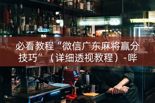 必看教程“微信广东麻将赢分技巧”（详细透视教程）-哔哩哔哩