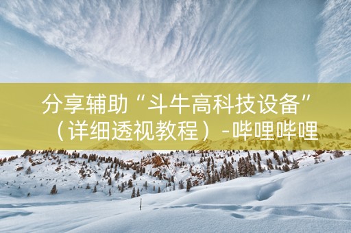 分享辅助“斗牛高科技设备”（详细透视教程）-哔哩哔哩