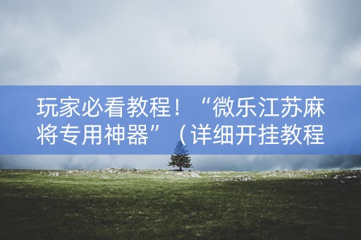 玩家必看教程！“微乐江苏麻将专用神器”（详细开挂教程）-哔哩哔哩