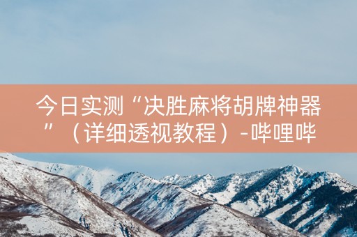 今日实测“决胜麻将胡牌神器”（详细透视教程）-哔哩哔哩