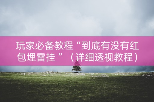 玩家必备教程“到底有没有红包埋雷挂 ”（详细透视教程）-哔哩哔哩
