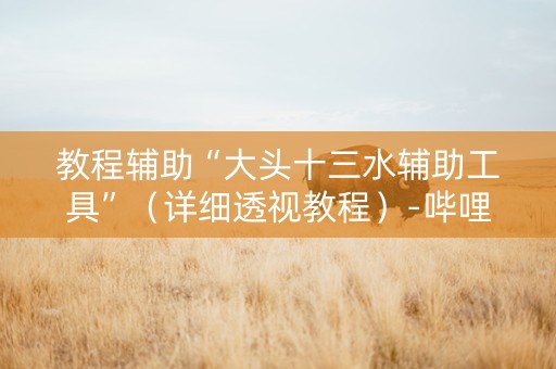 教程辅助“大头十三水辅助工具”（详细透视教程）-哔哩哔哩