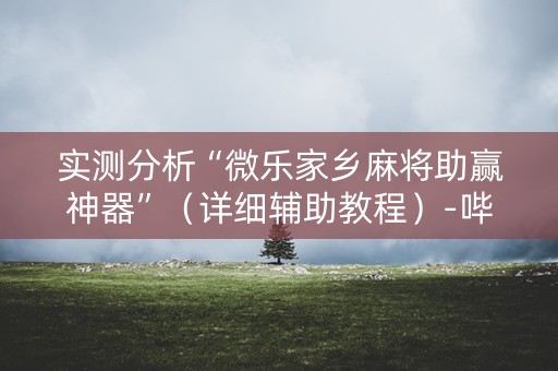 实测分析“微乐家乡麻将助赢神器”（详细辅助教程）-哔哩哔哩