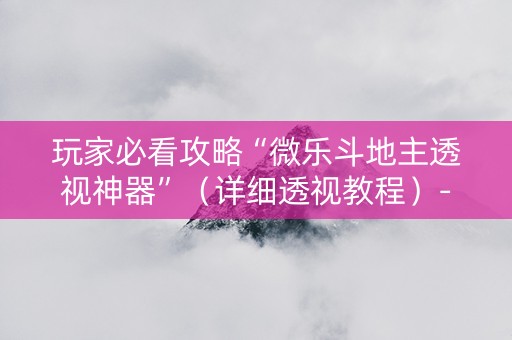 玩家必看攻略“微乐斗地主透视神器”（详细透视教程）-哔哩哔哩