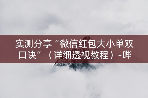 实测分享“微信红包大小单双口诀”（详细透视教程）-哔哩哔哩