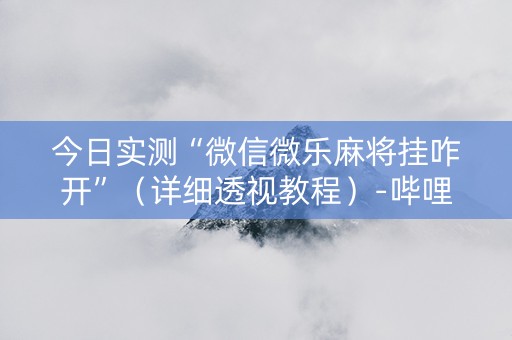 今日实测“微信微乐麻将挂咋开”（详细透视教程）-哔哩哔哩