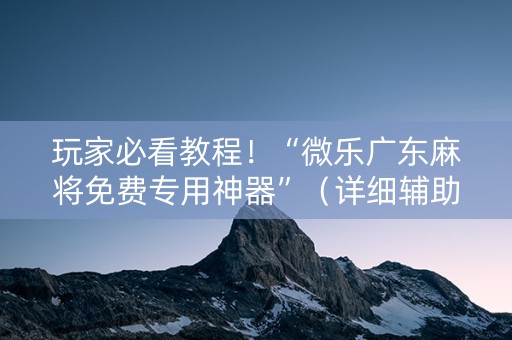 玩家必看教程！“微乐广东麻将免费专用神器”（详细辅助教程）-哔哩哔哩